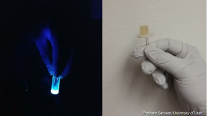 leds from food